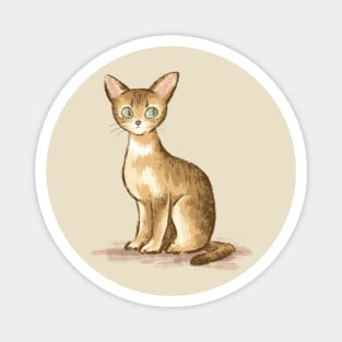 Abyssinian Magnet